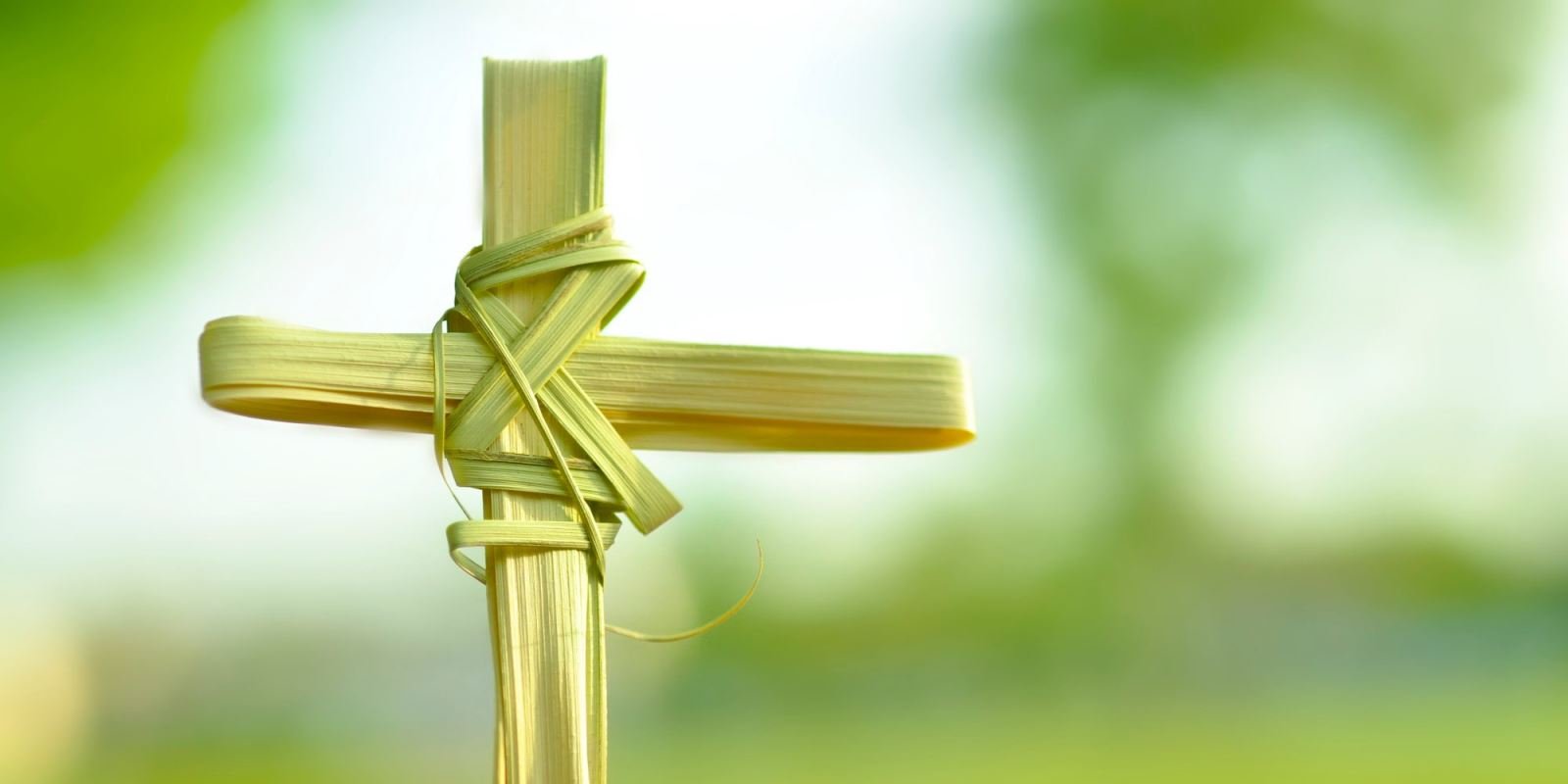Lễ Lá- Thánh Lễ Khai Mạc Tuần Thánh. – Giáo Phận Cần Thơ